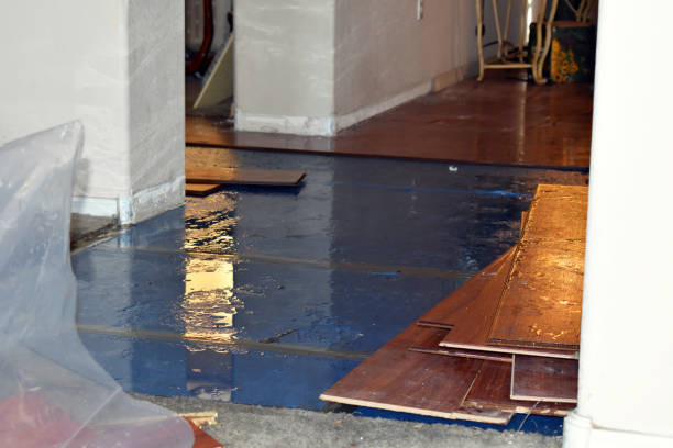 Professional Water Damage Restoration technician working in Northbridge, MA